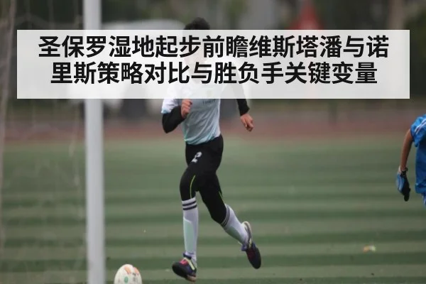 圣保罗湿地起步前瞻维斯塔潘与诺里斯策略对比与胜负手关键变量